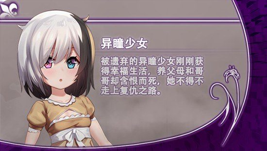 光与影的二重身 资源内容 资料图 3